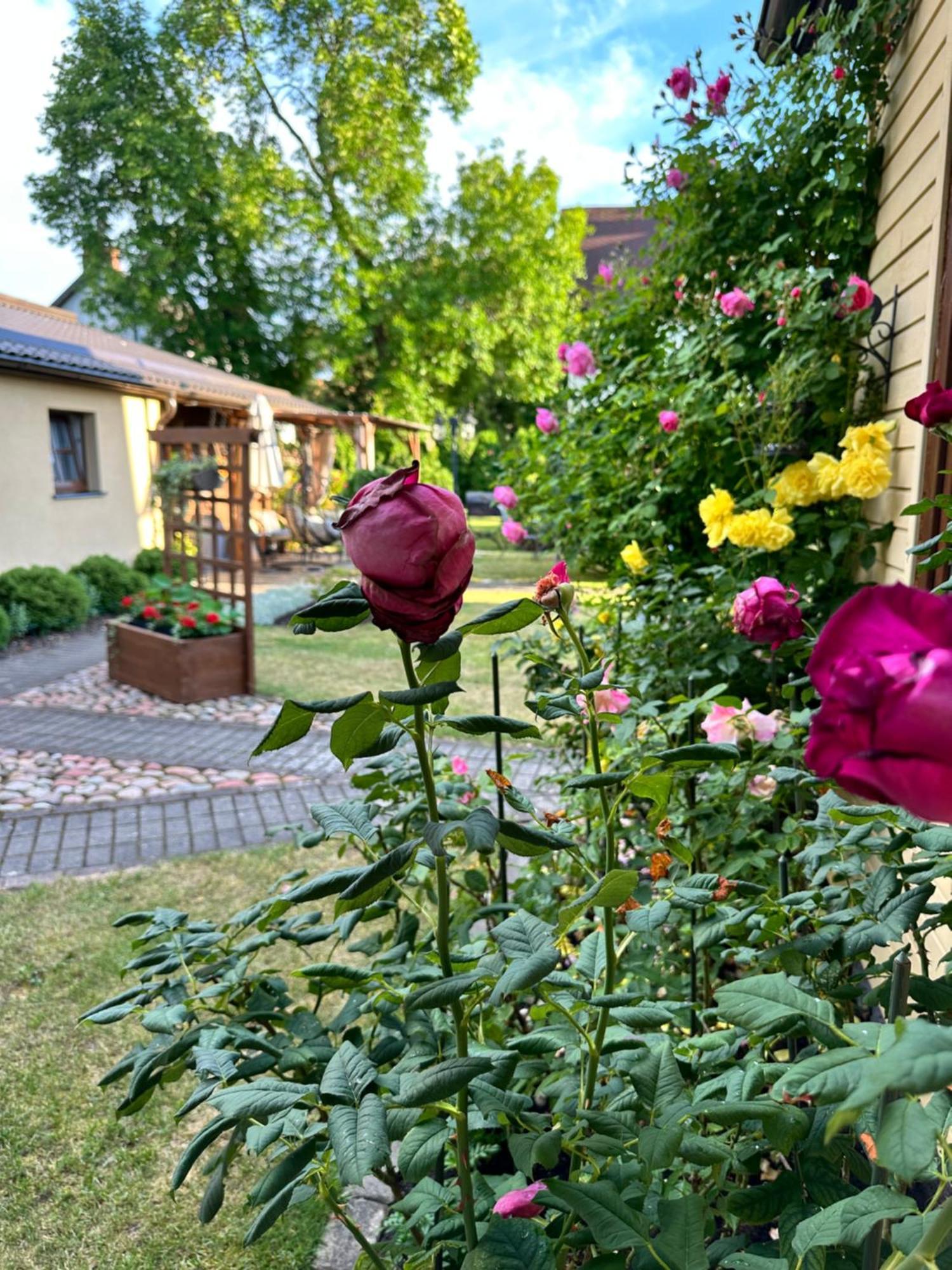 Anni Apartment Вентспилс Екстериор снимка